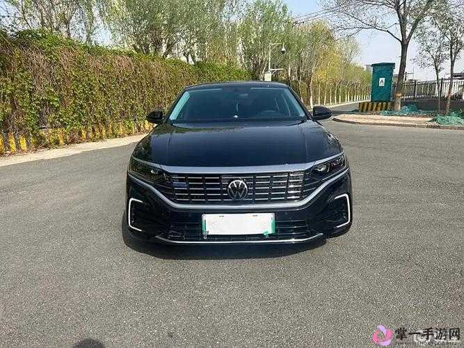 497799 欧洲版的国产 SUV：独具魅力的高品质座驾引领出行新潮流